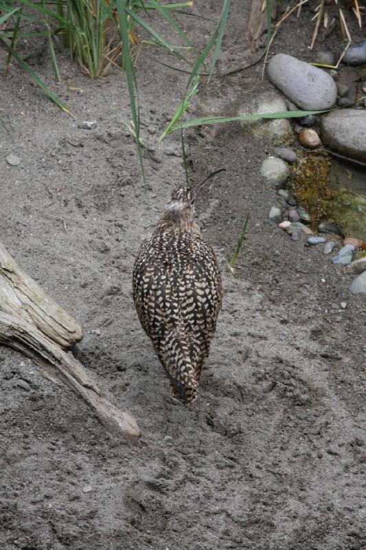 2012-06-16 12:15:17 ** Aquarium, Seattle ** 