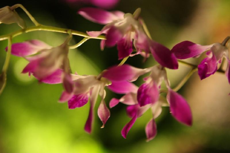 2014-03-14 11:20:21 ** Botanical Garden, Chicago, Illinois ** 