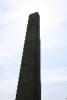 Obelisk.