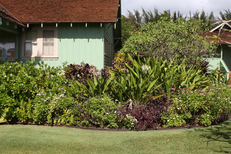 2011-11-27 11:49:45 ** Botanischer Garten, Hawaiʻi, Kauaʻi ** 