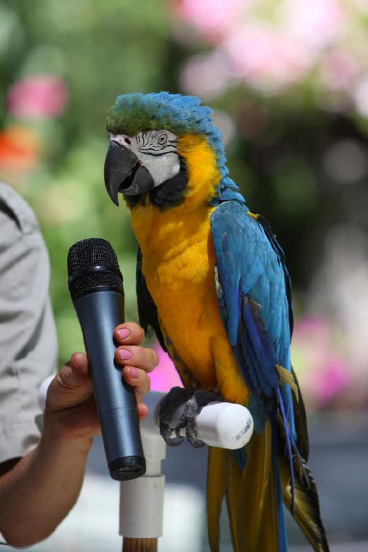 2011-07-15 13:12:47 ** Utah, Zoo ** 