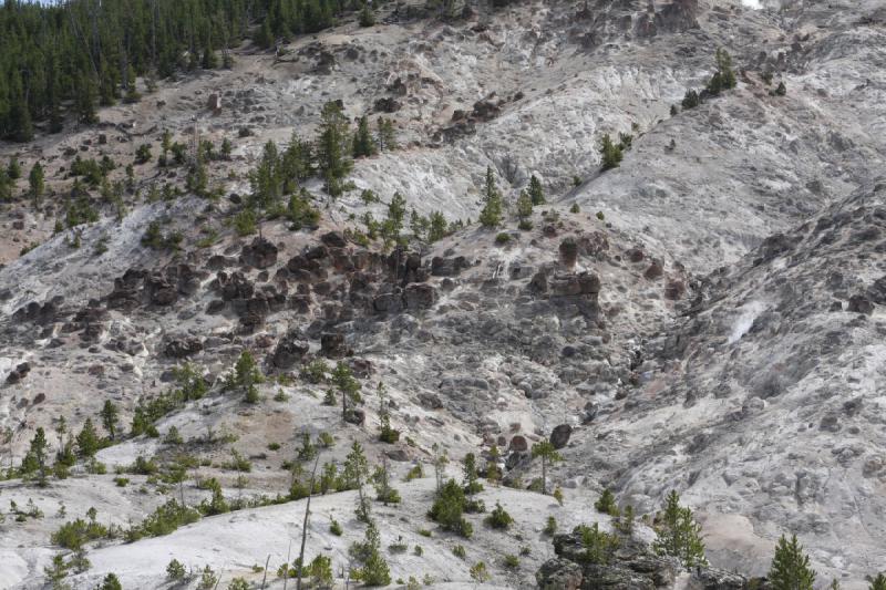 2009-08-04 10:05:15 ** Yellowstone Nationalpark ** 