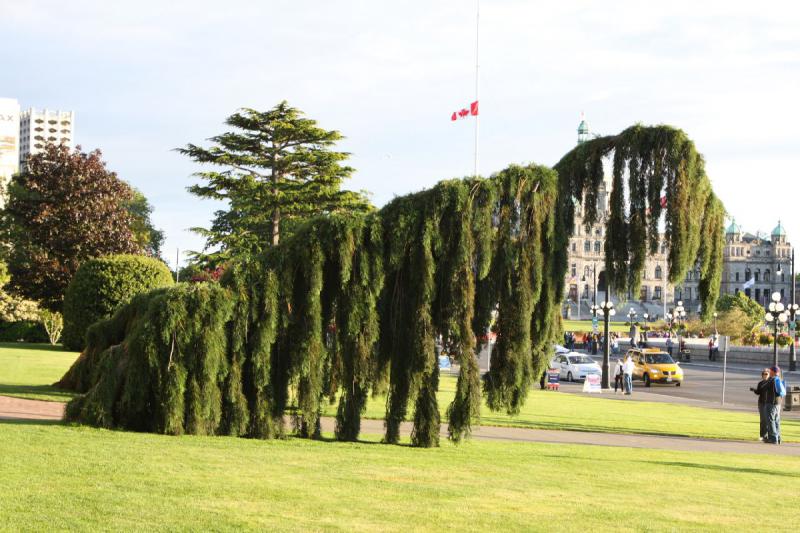 2012-06-23 20:05:30 ** Canada, Kreuzfahrt, Victoria ** 