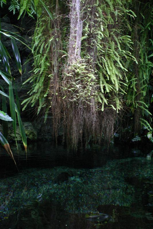 2005-08-25 14:00:15 ** Aquarium, Berlin, Germany, Zoo ** Waterfall in the fish tank.