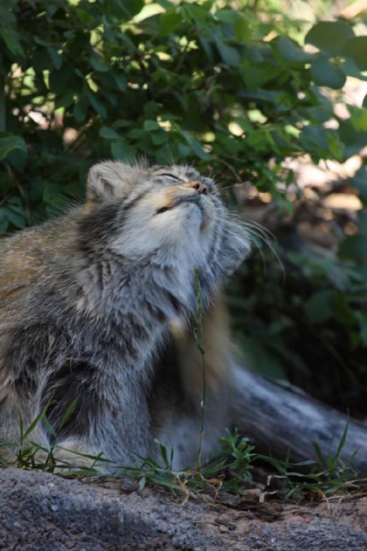 2011-07-16 08:02:26 ** Utah, Zoo ** 