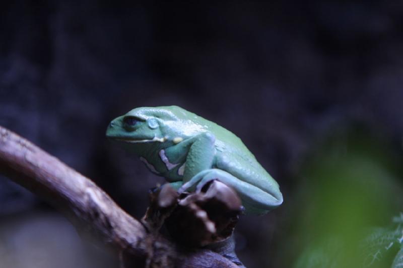 2011-01-22 10:43:26 ** Aquarium, Utah, Zoo ** 