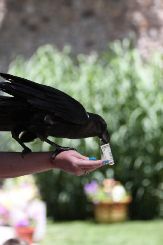 2011-07-15 13:07:49 ** Utah, Zoo ** 