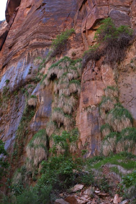 2011-05-29 09:37:38 ** Utah, Zion Nationalpark ** 