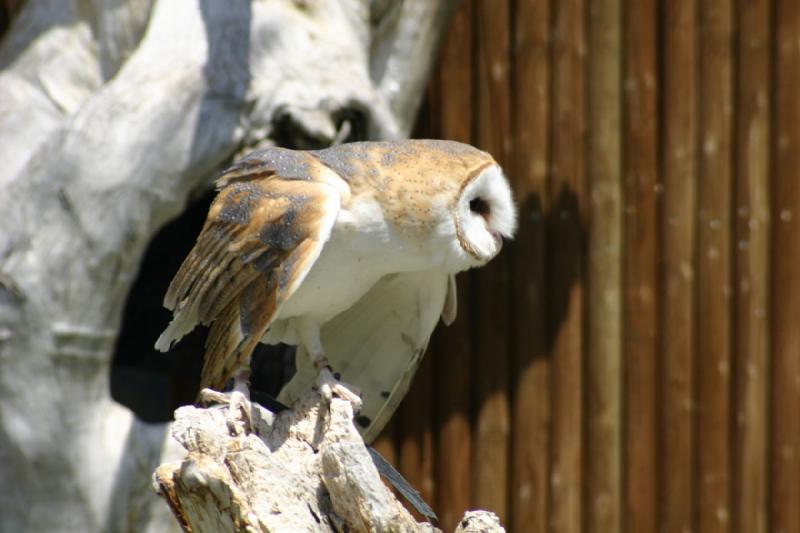 2008-05-04 13:18:14 ** Utah, Zoo ** 