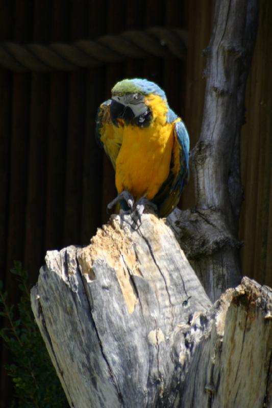 2008-05-04 12:47:44 ** Utah, Zoo ** 