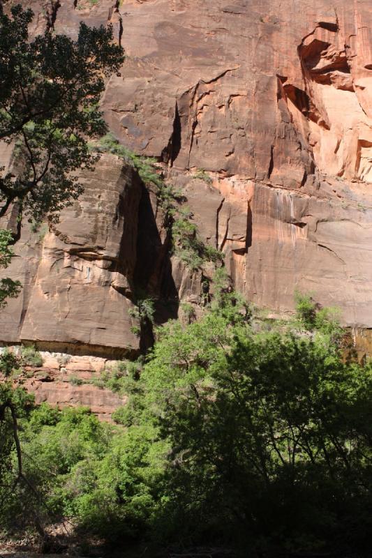 2011-05-29 09:19:50 ** Utah, Zion Nationalpark ** 