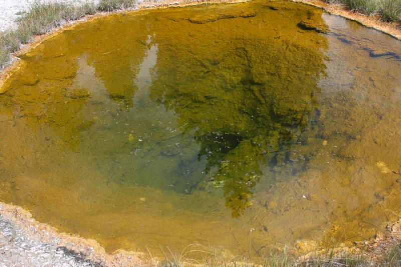 2008-08-15 12:13:32 ** Yellowstone National Park ** A lot of flies collected on the surface of this geyser. Probably they were attracted by the scent.