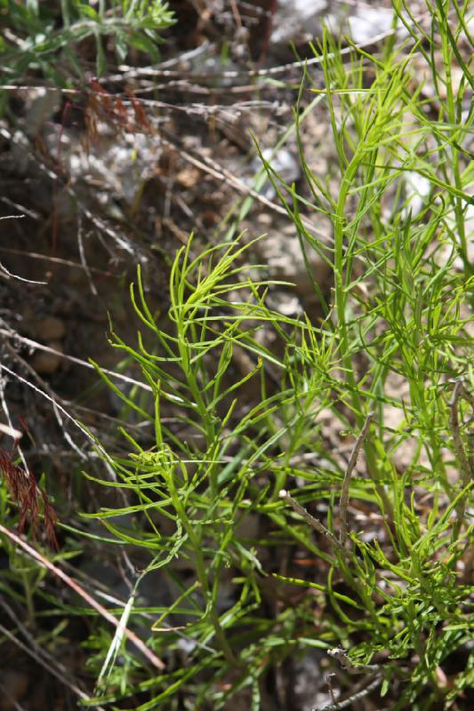 2011-05-29 10:54:21 ** Utah, Zion National Park ** 