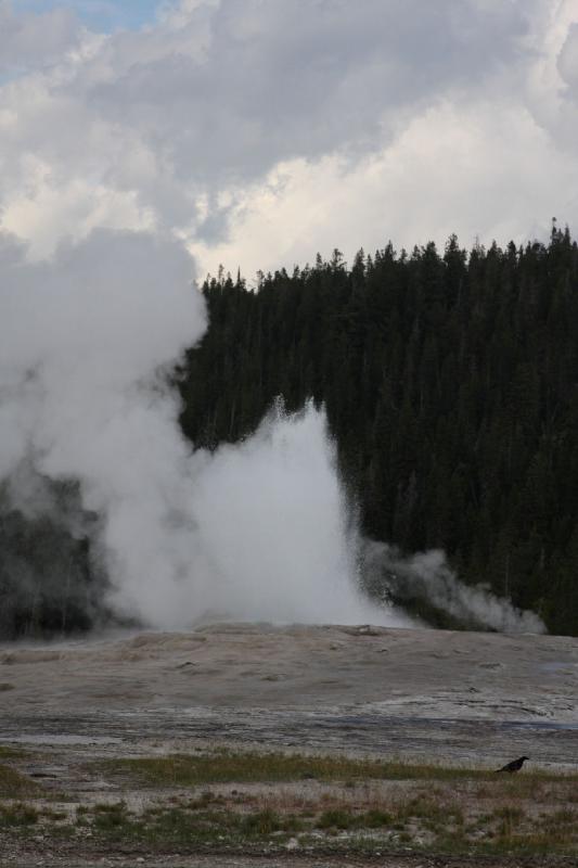 2009-08-03 15:56:47 ** Yellowstone National Park ** 