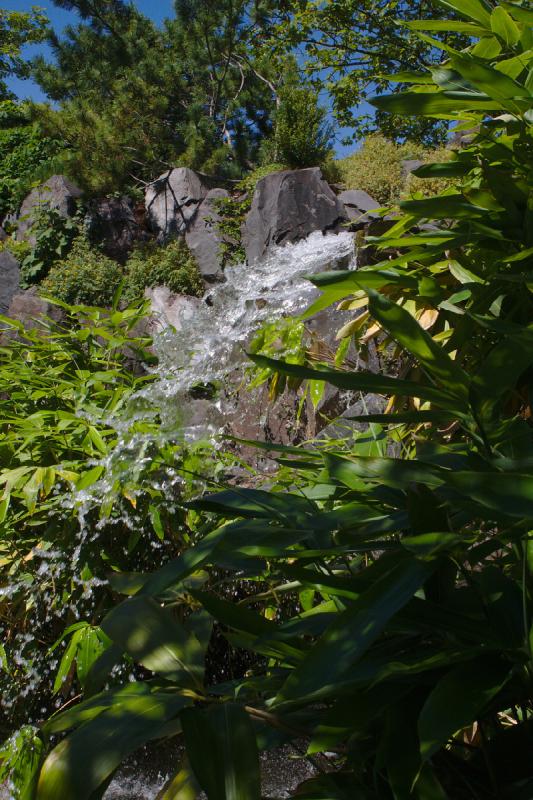 2019-07-23 12:36:20 ** Botanischer Garten, Deutschland, Erfurt ** 