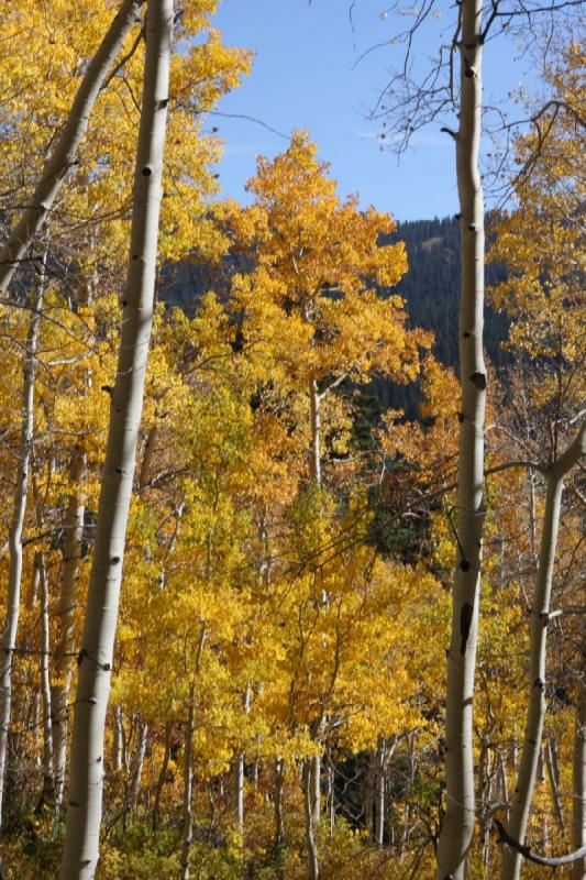 2010-10-01 14:17:26 ** Big Cottonwood Canyon, Utah ** 