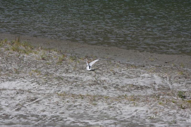 2012-06-20 16:33:29 ** Alaska, Juneau, Kreuzfahrt ** 