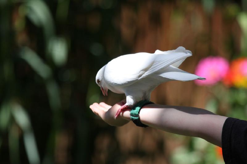 2011-07-15 15:18:18 ** Utah, Zoo ** 