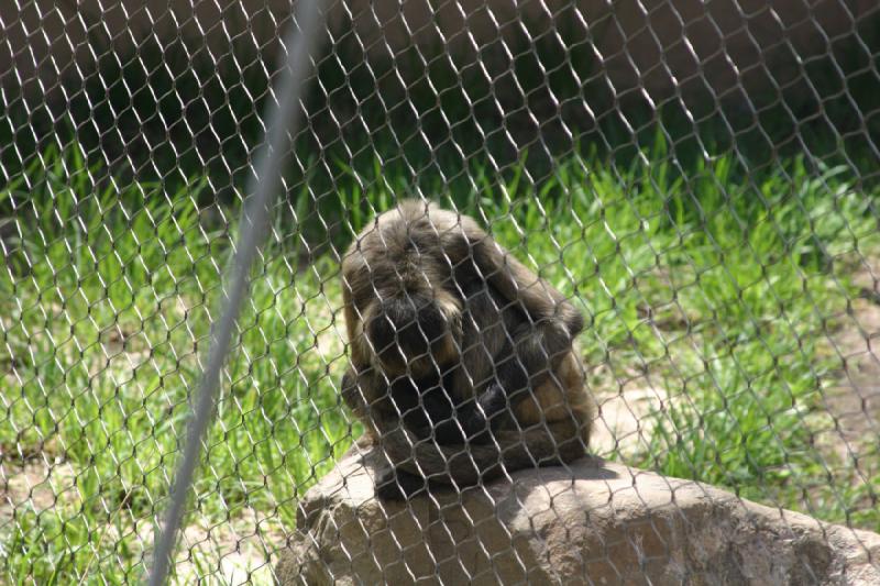 2008-05-04 12:13:08 ** Utah, Zoo ** 