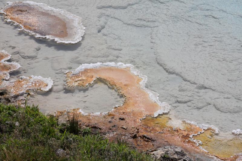 2009-08-03 10:34:19 ** Yellowstone National Park ** At the corner of one of the ponds, the bacteria collect forming areas.