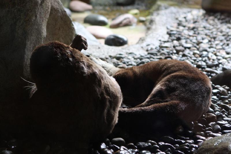 2012-06-16 11:53:54 ** Aquarium, Seattle ** 