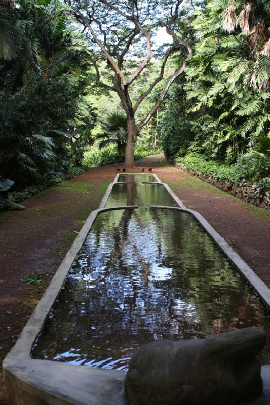 2011-11-27 10:21:47 ** Botanischer Garten, Hawaiʻi, Kauaʻi ** 