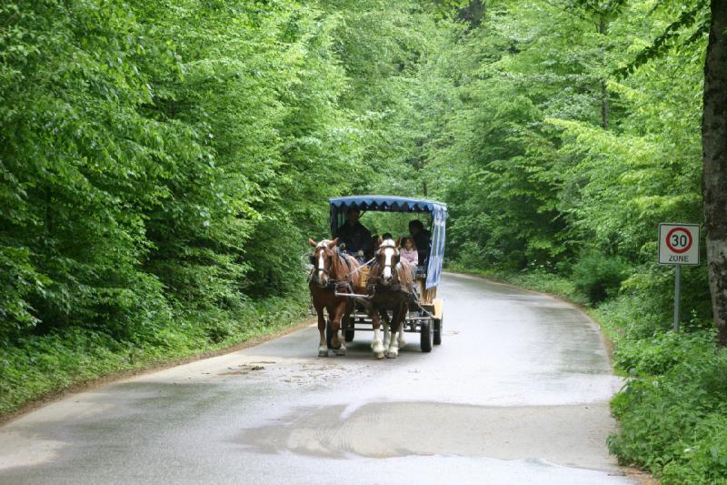 2008-05-17 14:40:44 ** Deutschland, München ** Statt vom Anleger zum Schloß Herrenchiemsee zu laufen, kann man auch den Pferdewagen nehmen.