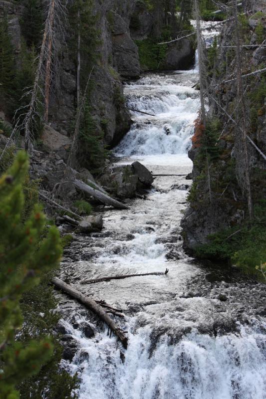 2008-08-15 10:35:43 ** Yellowstone National Park ** Raging water.