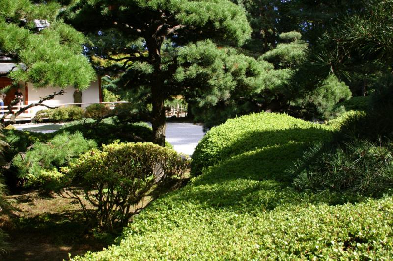 2007-09-02 15:19:42 ** Portland ** Green trees and bushes near the entrance of the Japanese Garden.