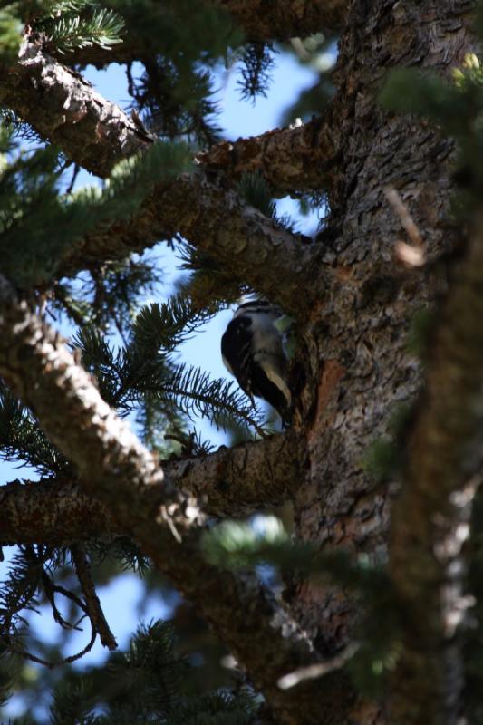 2010-10-01 14:24:20 ** Big Cottonwood Canyon, Utah ** 