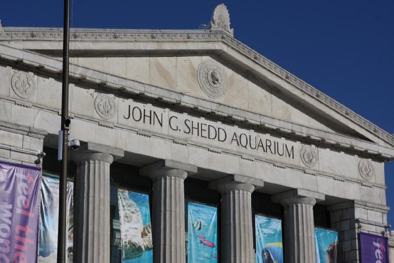 2014-03-12 16:55:01 ** Chicago, Illinois, Shedd Aquarium ** 