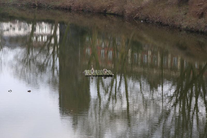 2010-04-05 17:33:05 ** Deutschland, Hamburg ** Eine kleine Insel für Enten.