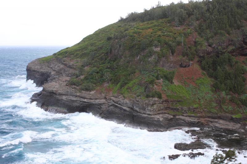 2011-11-26 13:25:08 ** Hawaiʻi, Kauaʻi, Kilauea ** 