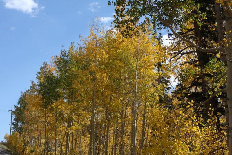 2010-10-02 14:59:49 ** Big Cottonwood Canyon, Utah ** 