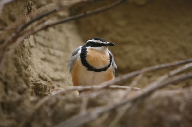 2010-04-13 13:48:58 ** Deutschland, Walsrode, Zoo ** 