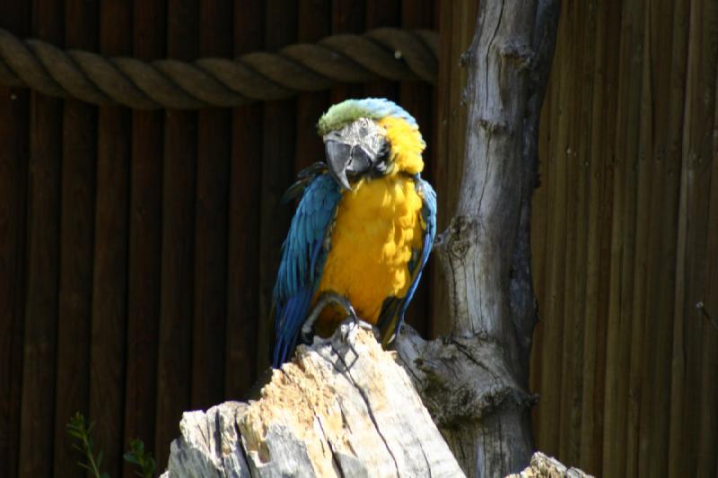 2008-05-04 12:50:36 ** Utah, Zoo ** 