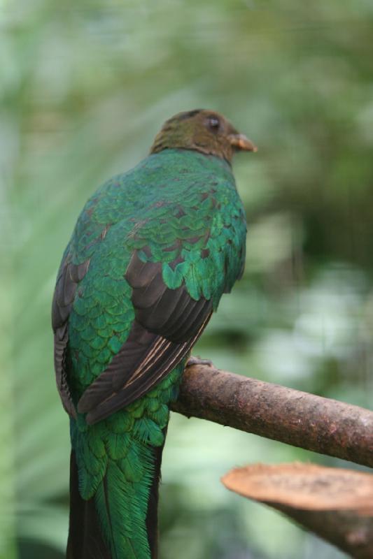 2010-04-13 13:31:20 ** Deutschland, Walsrode, Zoo ** 