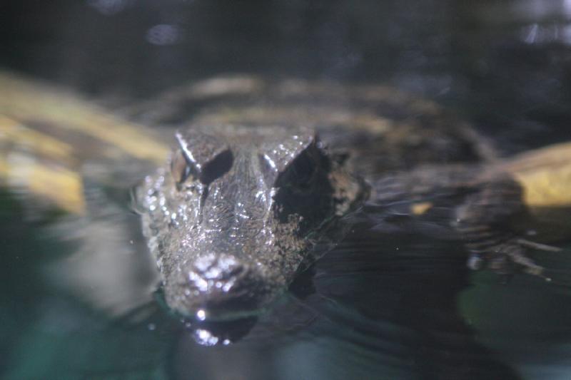 2011-01-22 10:54:50 ** Aquarium, Utah, Zoo ** 