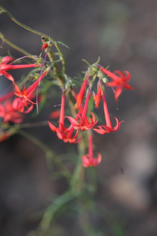 2010-08-20 19:23:10 ** Uinta Mountains ** 