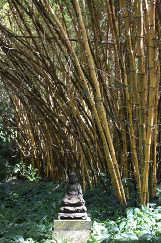 2011-11-27 10:55:20 ** Botanischer Garten, Hawaiʻi, Kauaʻi ** 