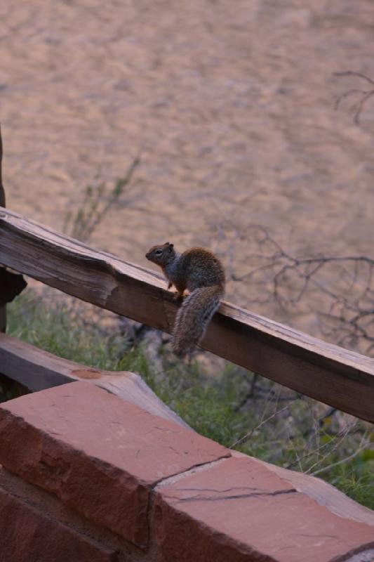 2011-05-29 09:27:12 ** Utah, Zion Nationalpark ** 