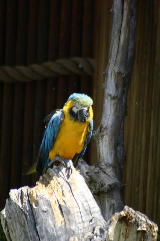 2008-05-04 12:45:48 ** Utah, Zoo ** 