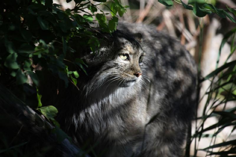 2011-07-16 08:15:16 ** Utah, Zoo ** 