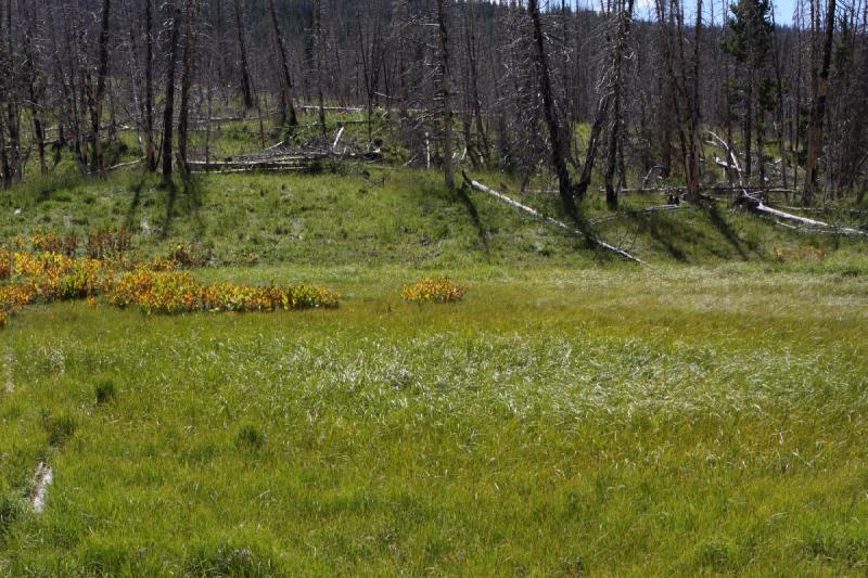 2010-08-21 15:31:48 ** Uinta Berge ** 