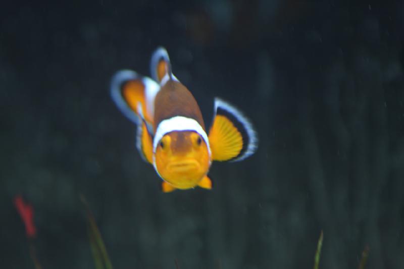 2012-05-19 08:09:52 ** Aquarium, Utah, Zoo ** 