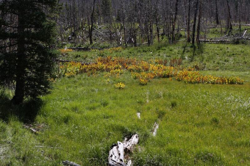 2010-08-21 15:31:46 ** Uinta Berge ** 