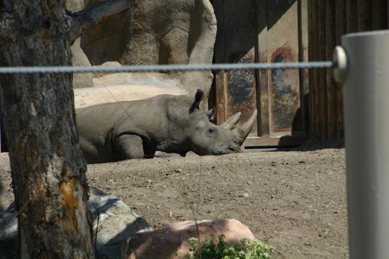 2008-05-04 12:17:36 ** Utah, Zoo ** 