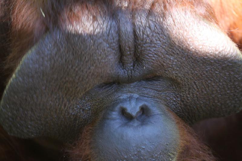 2011-07-15 14:11:03 ** Utah, Zoo ** 