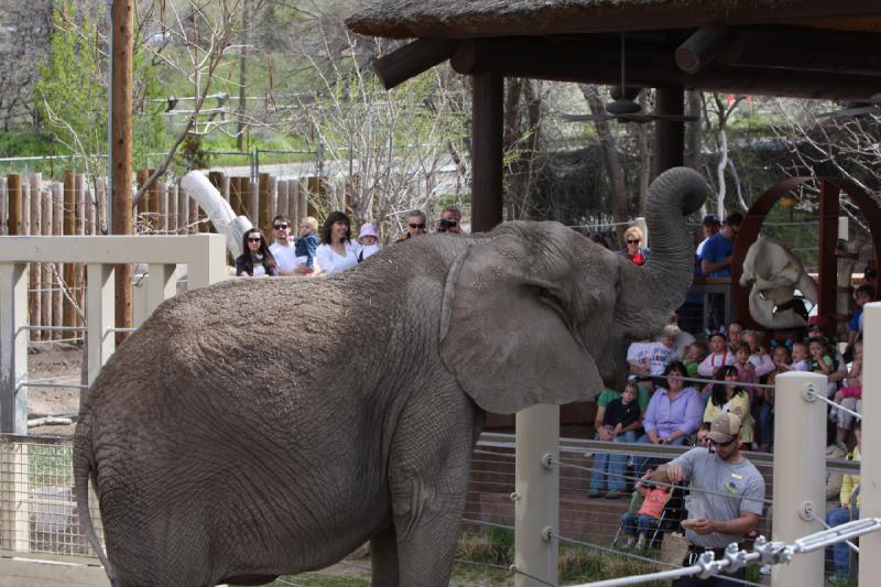 2011-05-07 10:32:47 ** Utah, Zoo ** 