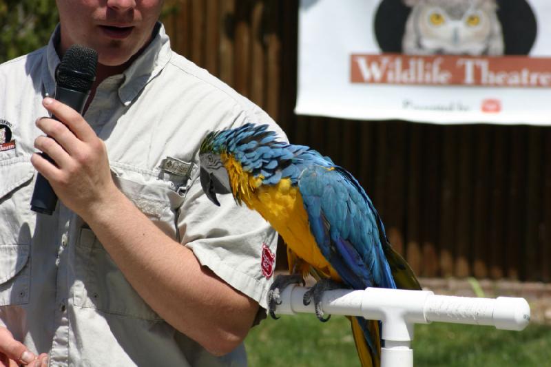 2008-05-04 13:22:48 ** Utah, Zoo ** 